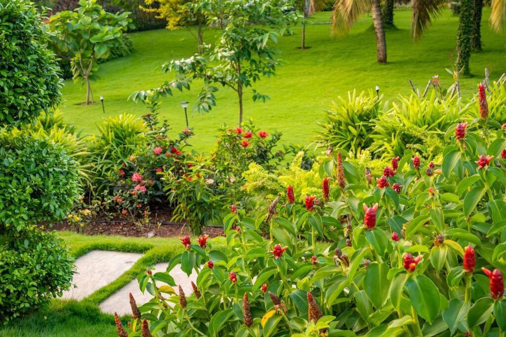 Villa Woods & Palms Pollāchi المظهر الخارجي الصورة